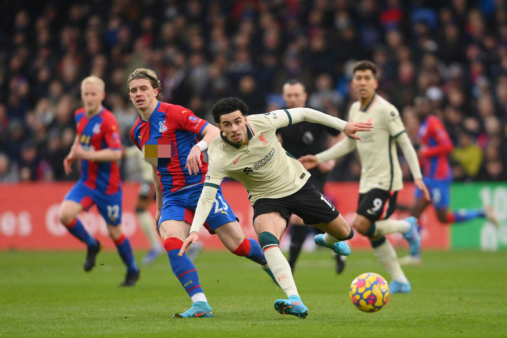 贡萨洛以及 贡萨洛以及